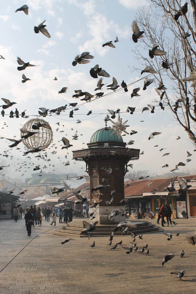 Pigeons flocking around Sebilj Fountain in Sarajevo's bustling streets, Bosnia - Sarajevo tours
